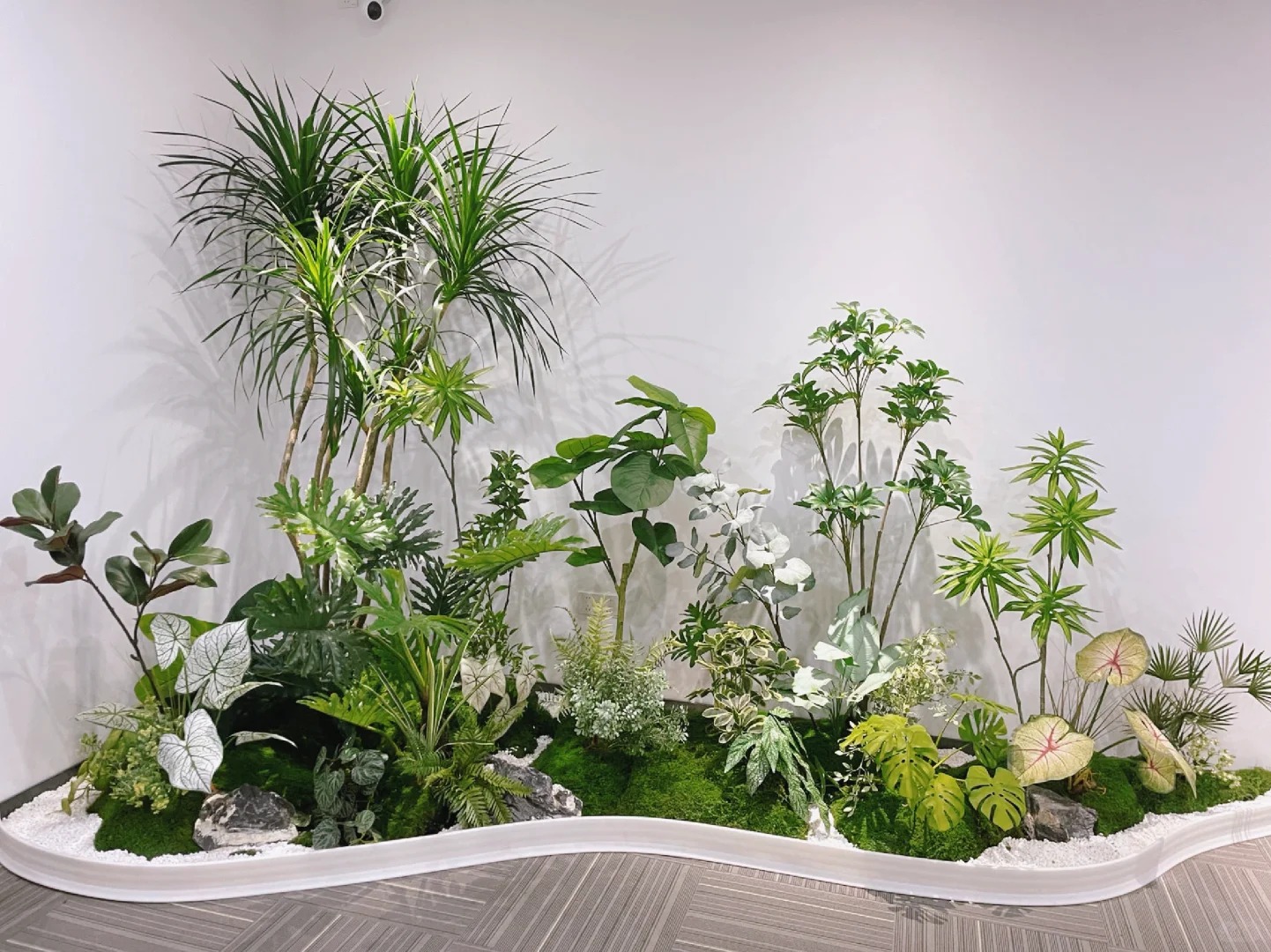 余姚盆景租摆,价格亲民,品质却不打折!